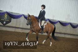 19YN_41631 thumbnail
