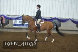 19YN_41632 thumbnail