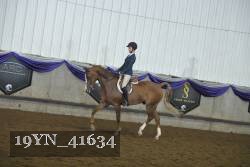 19YN_41634 thumbnail