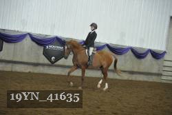 19YN_41635 thumbnail