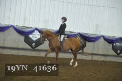 19YN_41636 thumbnail