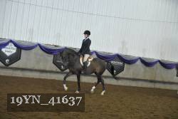 19YN_41637 thumbnail