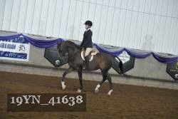 19YN_41638 thumbnail