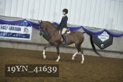 19YN_41639 thumbnail