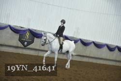 19YN_41641 thumbnail