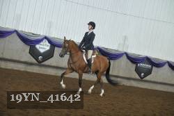 19YN_41642 thumbnail