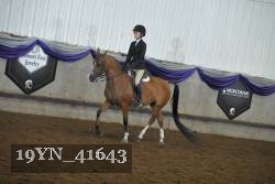 19YN_41643 thumbnail