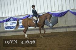 19YN_41646 thumbnail