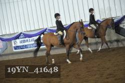19YN_41648 thumbnail
