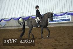 19YN_41649 thumbnail