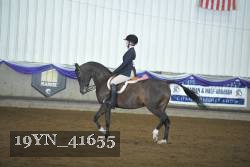 19YN_41655 thumbnail