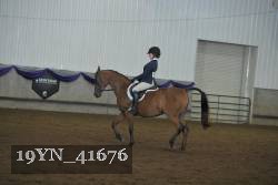19YN_41676 thumbnail