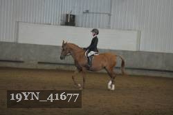 19YN_41677 thumbnail