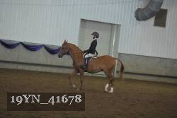 19YN_41678 thumbnail