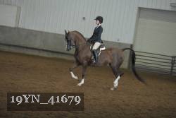 19YN_41679 thumbnail