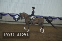 19YN_41681 thumbnail