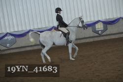 19YN_41683 thumbnail