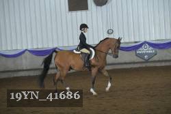 19YN_41686 thumbnail