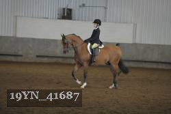 19YN_41687 thumbnail