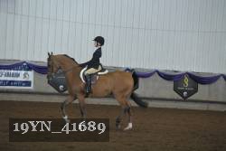 19YN_41689 thumbnail