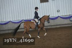 19YN_41690 thumbnail