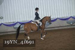 19YN_41691 thumbnail