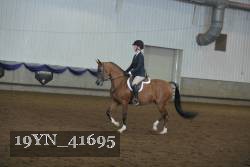 19YN_41695 thumbnail