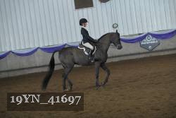 19YN_41697 thumbnail