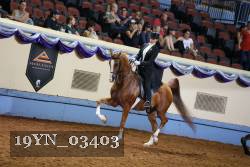 19YN_03403 thumbnail