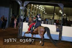 19YN_03687 thumbnail
