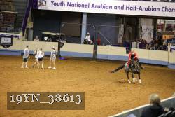 19YN_38613 thumbnail