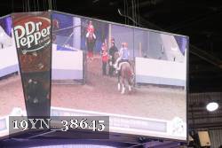 19YN_38645 thumbnail