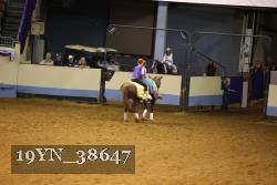 19YN_38647 thumbnail