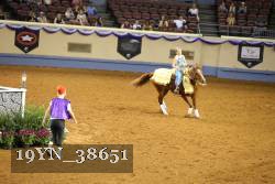 19YN_38651 thumbnail