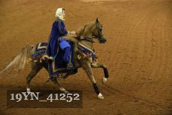 19YN_41252 thumbnail