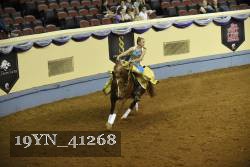 19YN_41268 thumbnail