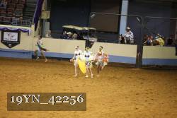 19YN_42256 thumbnail