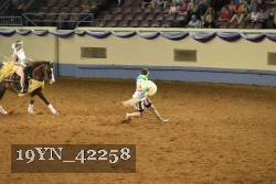 19YN_42258 thumbnail
