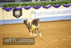 19YN_42259 thumbnail