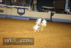 19YN_42261 thumbnail