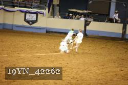 19YN_42262 thumbnail
