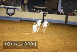 19YN_42264 thumbnail