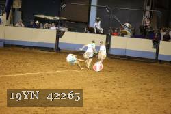 19YN_42265 thumbnail