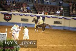 19YN_42267 thumbnail