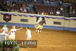 19YN_42269 thumbnail