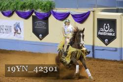 19YN_42301 thumbnail