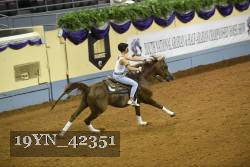 19YN_42351 thumbnail