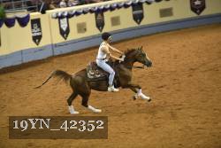 19YN_42352 thumbnail