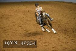 19YN_42354 thumbnail
