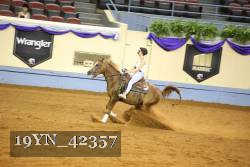 19YN_42357 thumbnail